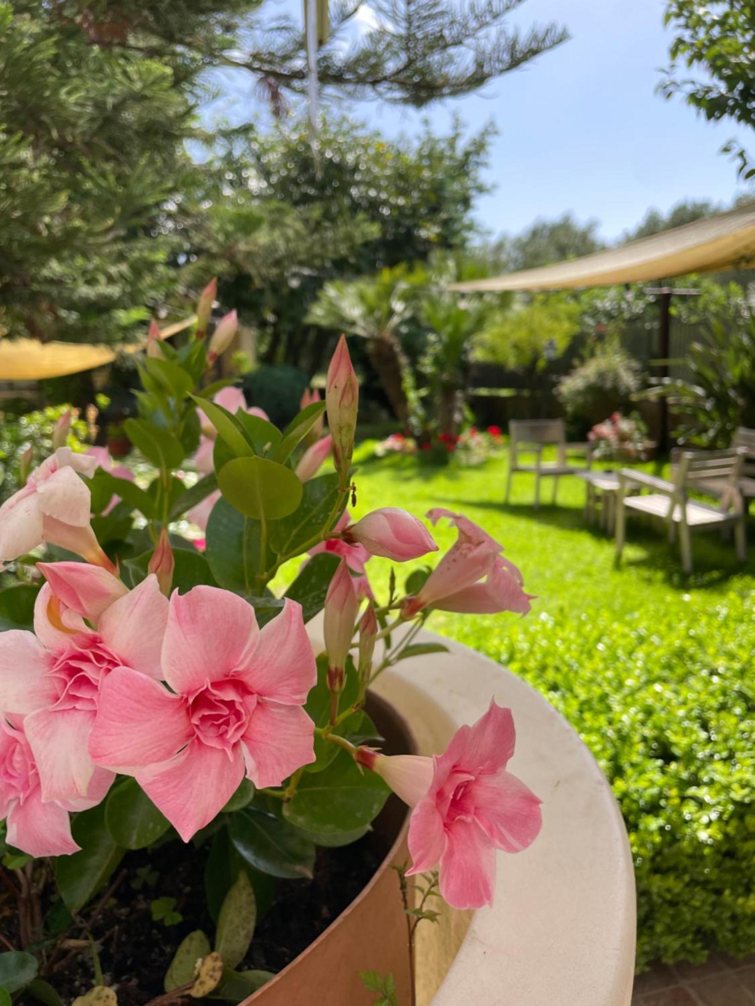 Hotel Residence Da Carmelo Палинуро Екстериор снимка