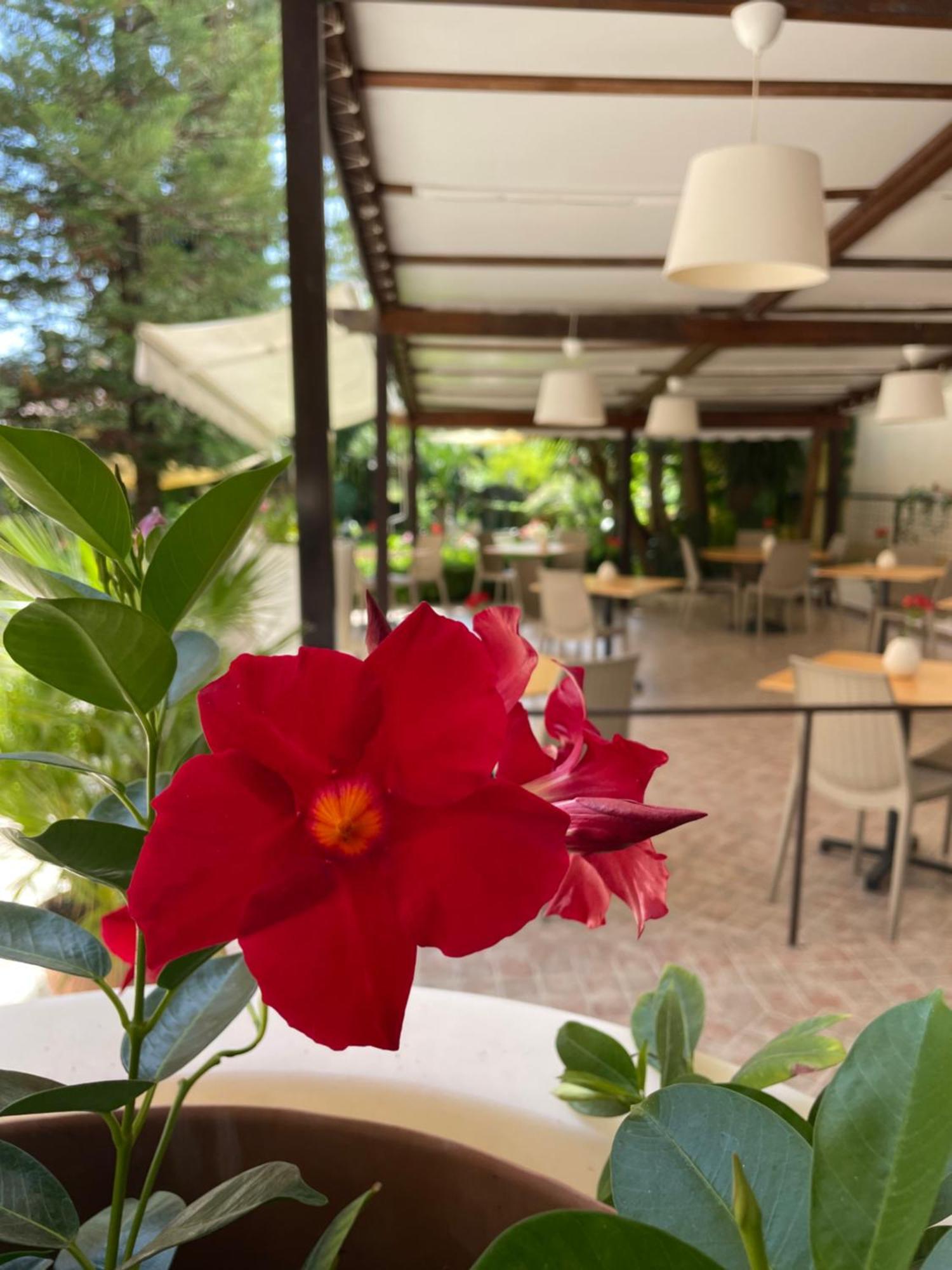 Hotel Residence Da Carmelo Палинуро Екстериор снимка